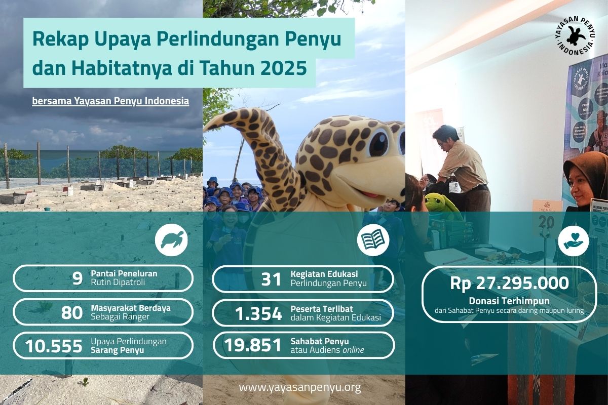 Recap of Sea Turtle and Habitat Protection Efforts in 2025 with Yayasan Penyu Indonesia