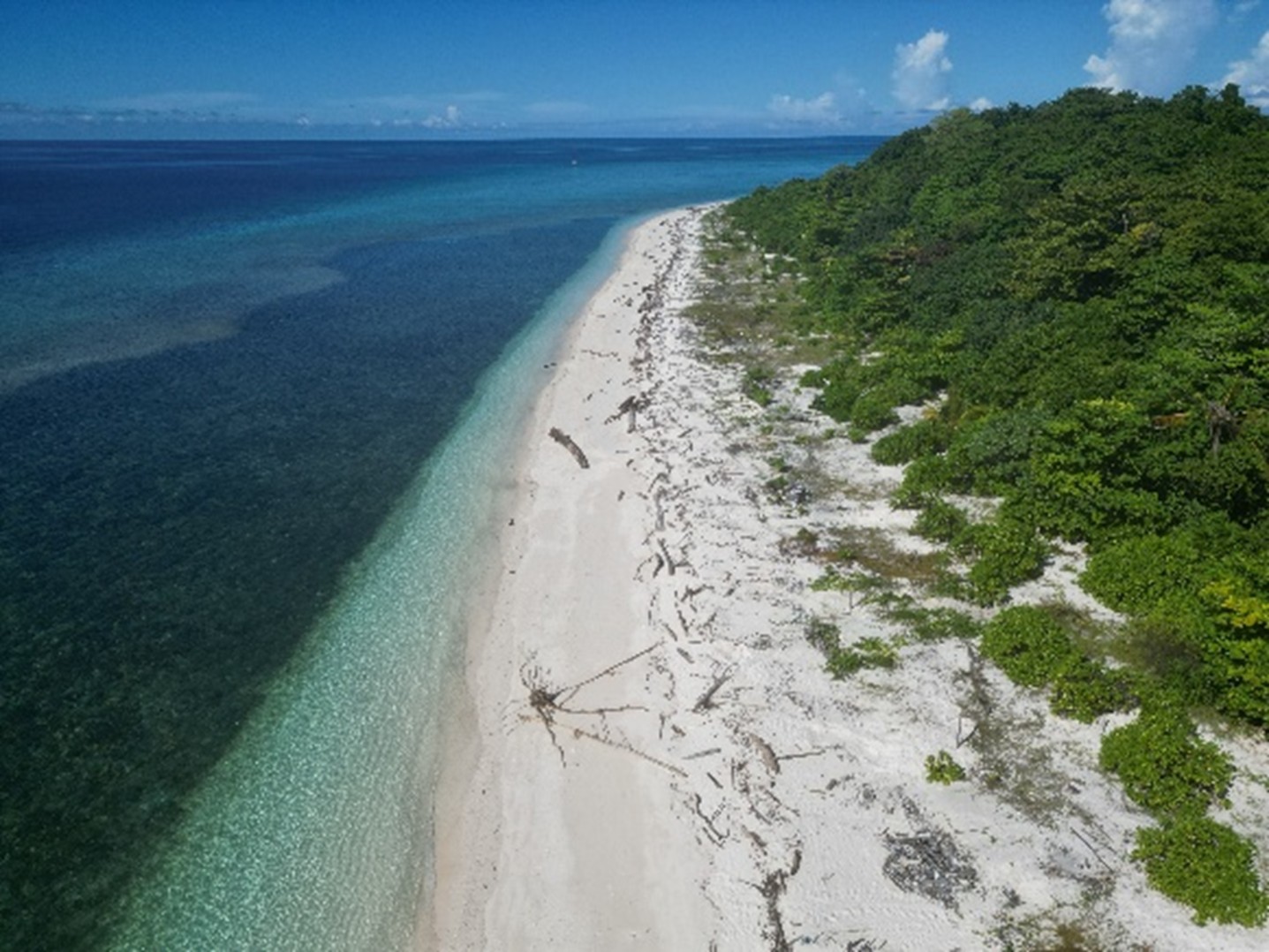 Marine Debris Threats in Core Zones of Sea Turtle Nesting Beaches